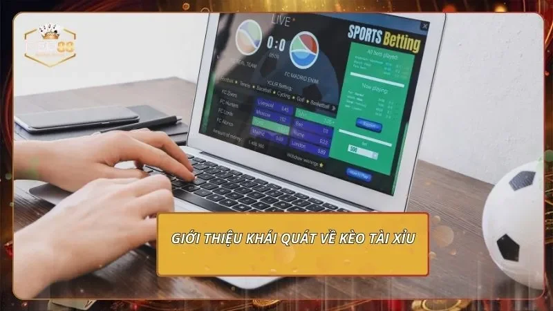 Kèo Tài Xỉu - Học Chơi Đúng Nhịp, Săn Cược Thắng Lớn 1 Giới thiệu khái quát về kèo tài xỉu